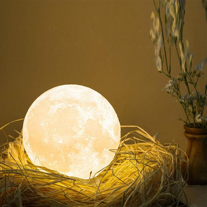 X10-clair de lune 3d