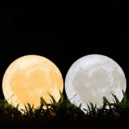 X10-clair de lune 3d